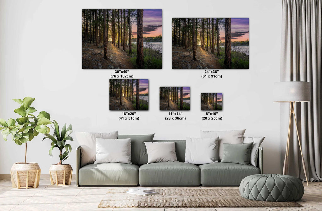 Show Low Lake Arizona: Tranquil Lakeside Pines Photography Wall Art