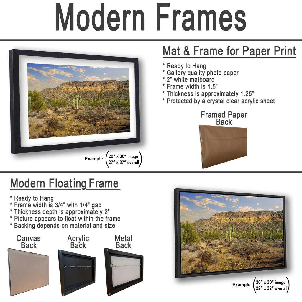 Sonoran Desert Saguaros and Mountain Ridge Arizona Photography Print, Southwest Wall Art