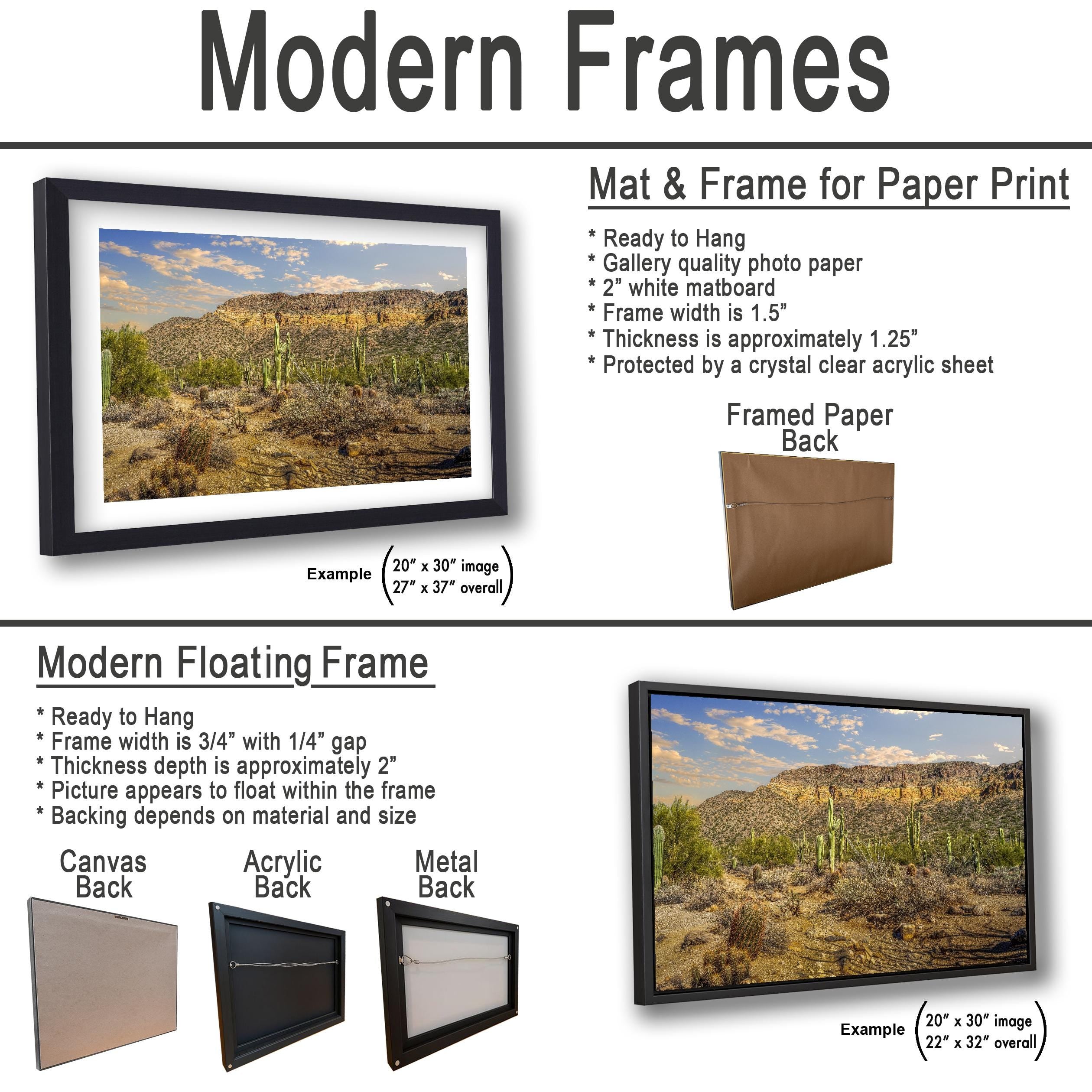 Sonoran Desert Saguaros and Mountain Ridge Arizona Photography Print, Southwest Wall Art