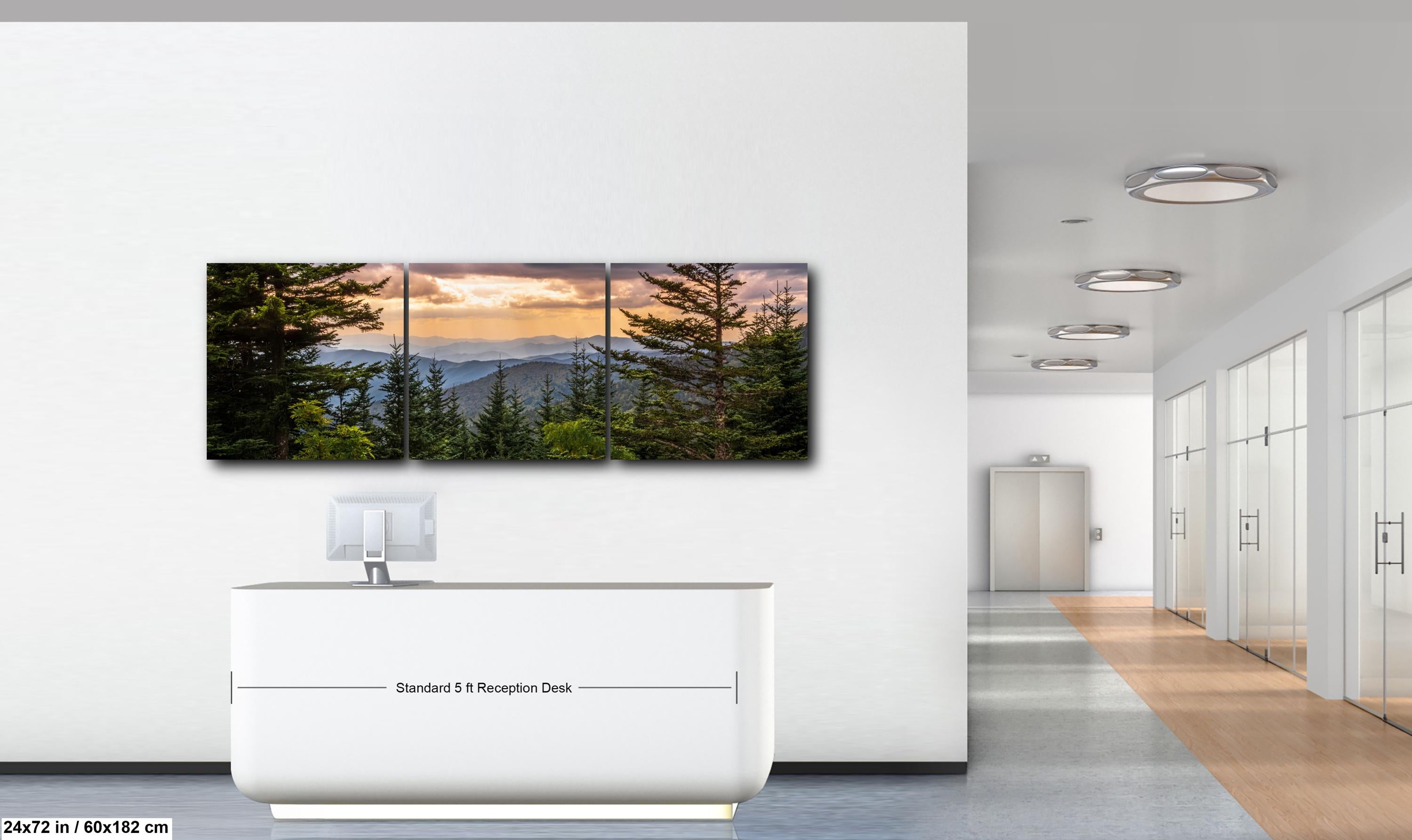 Between the Pines: Scenic View Great Smoky Mountains TN Photo Wall Art