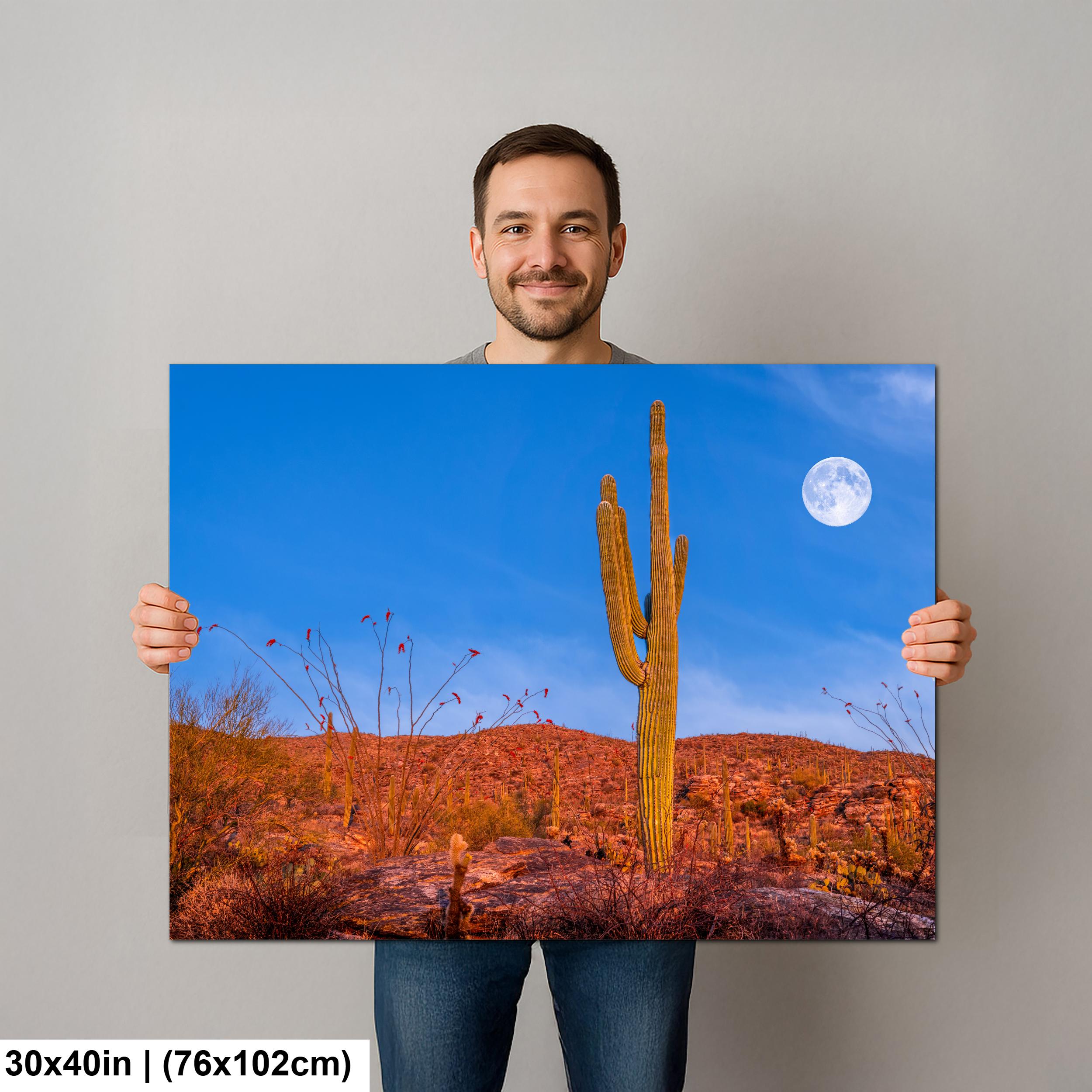 Sonoran Desert Full Moon with Saguaro Cactus Tucson Arizona Photography Print
