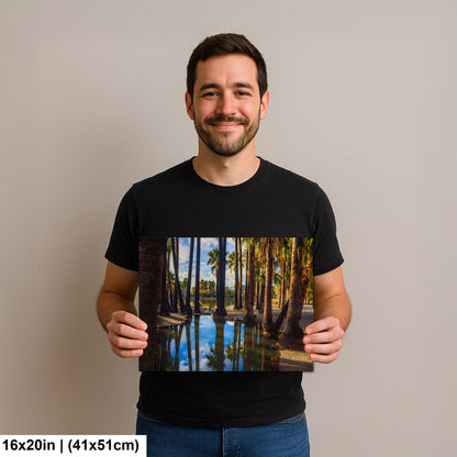 Agua Caliente Park Palm Tree Oasis Reflections - Tucson Arizona Photography Print