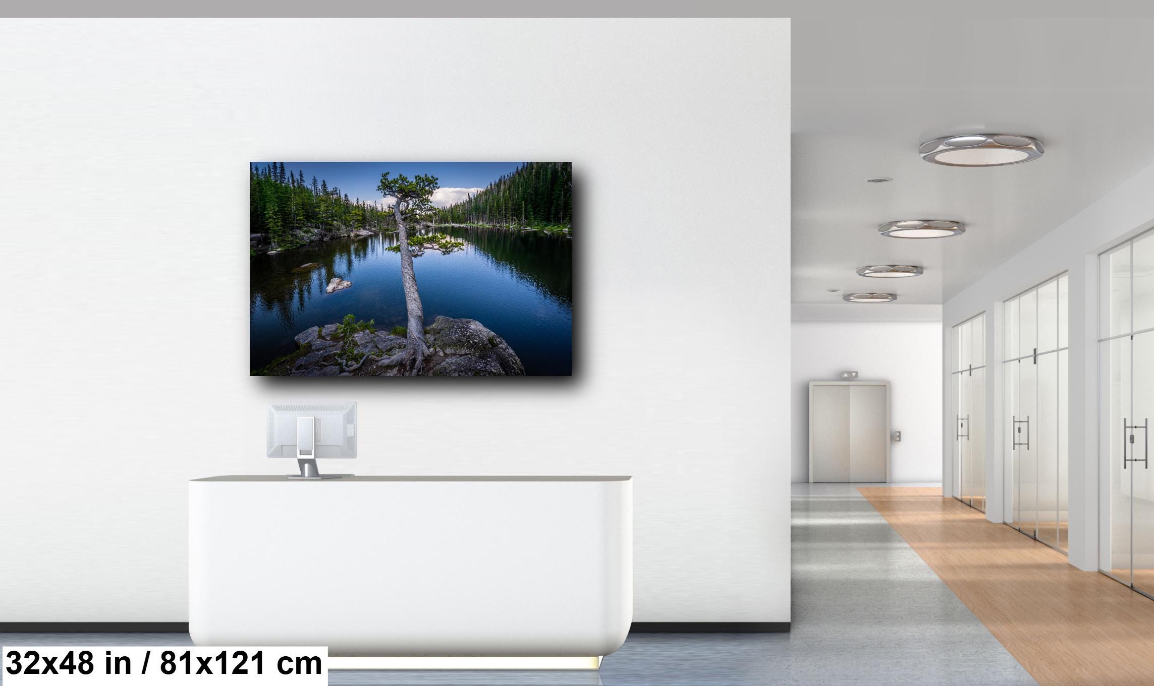 Dream Lake Twisted Tree Print: Rocky Mountain National Park Photography