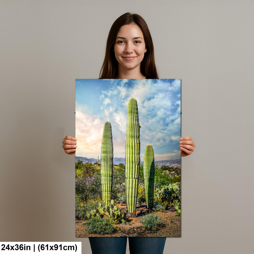 Towering Saguaros and Desert Sky, Saguaro National Park Tucson Arizona Photography Print