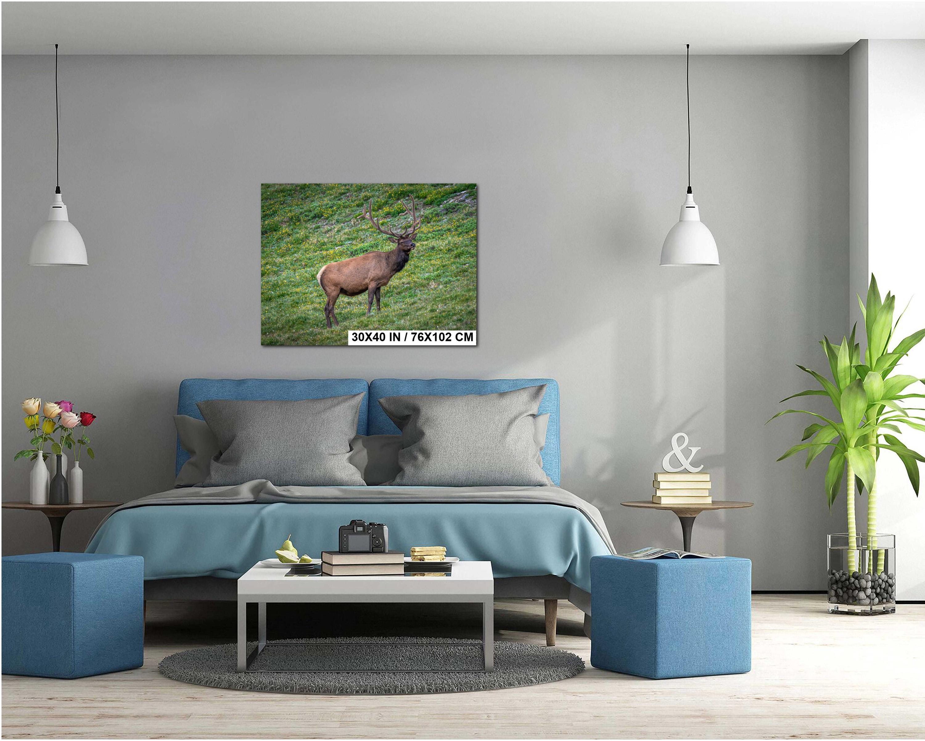 Bull Elk in Alpine Wildflowers Rocky Mountain National Park Colorado Photo Print, Wildlife Nature Wall Art Home Decor Aluminum/Metal/Canvas