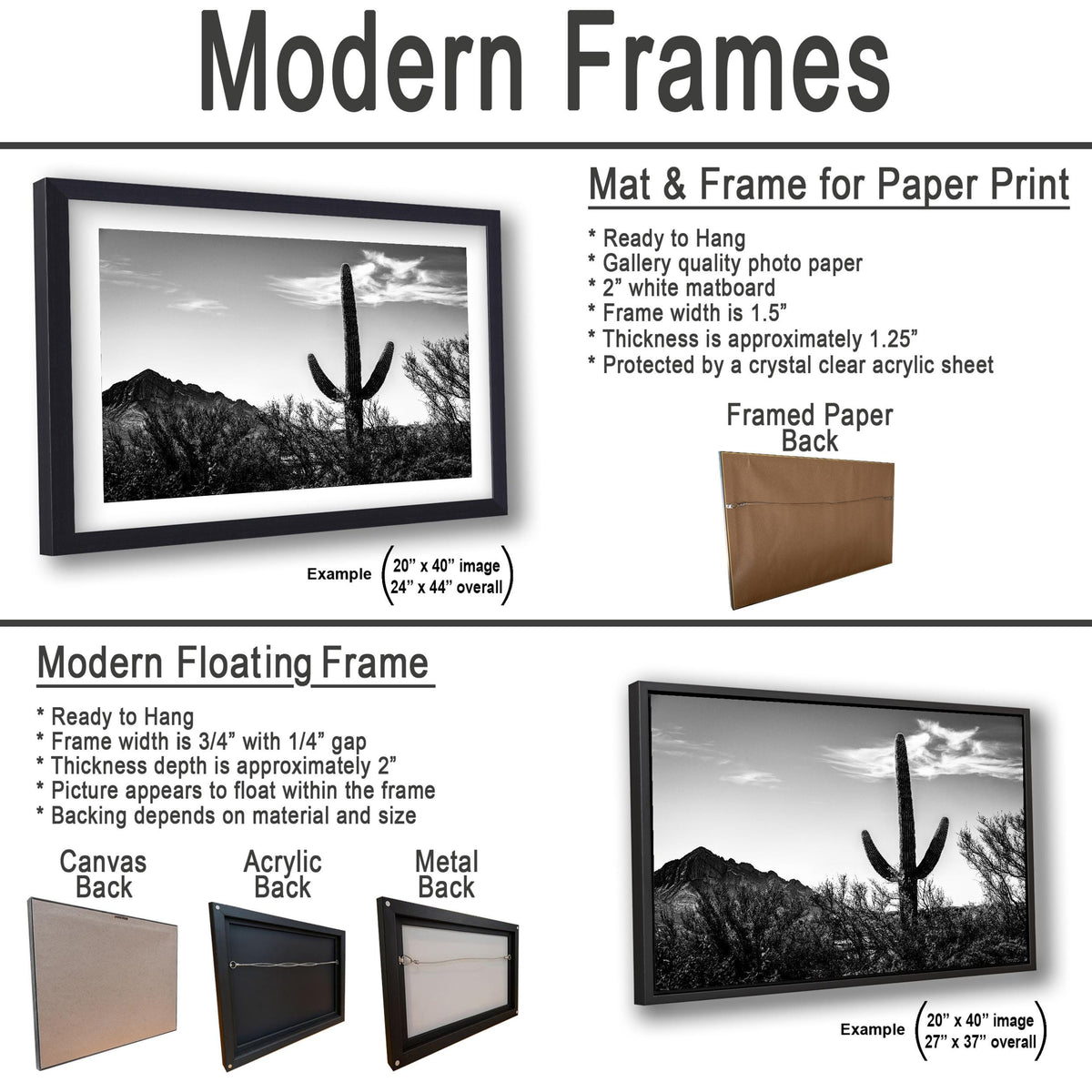 Desert Sentinel: Saguaro Cactus Oro Valley AZ Black White Photo Wall Art