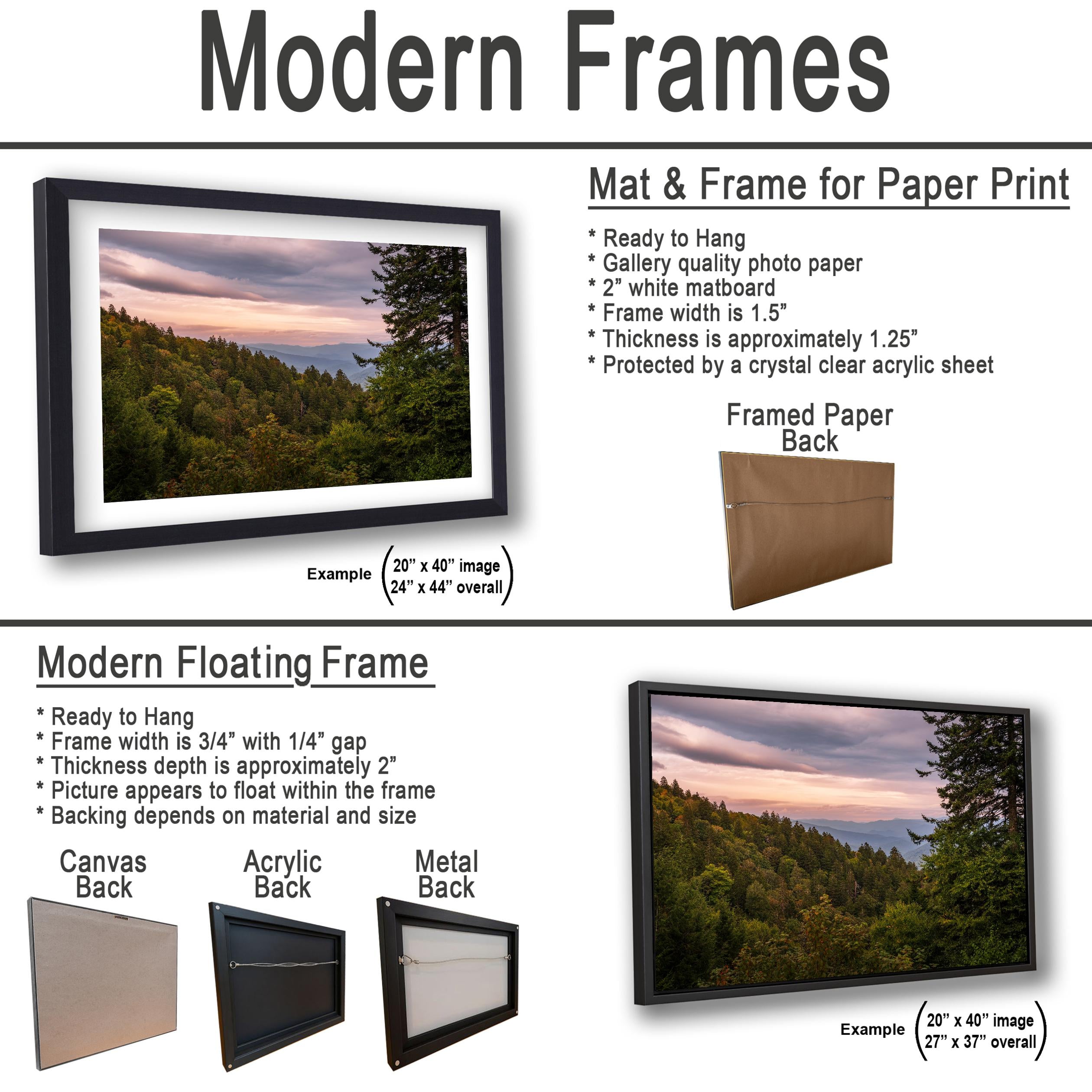 Evergreen Ridge: Great Smoky Mountains National Park TN NC Photo Wall Art
