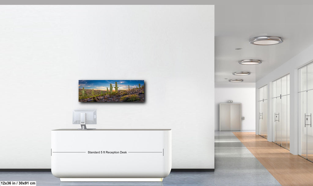 Sonoran Desert Saguaros at Sunset, Casa Grande Arizona Photography Wall Art