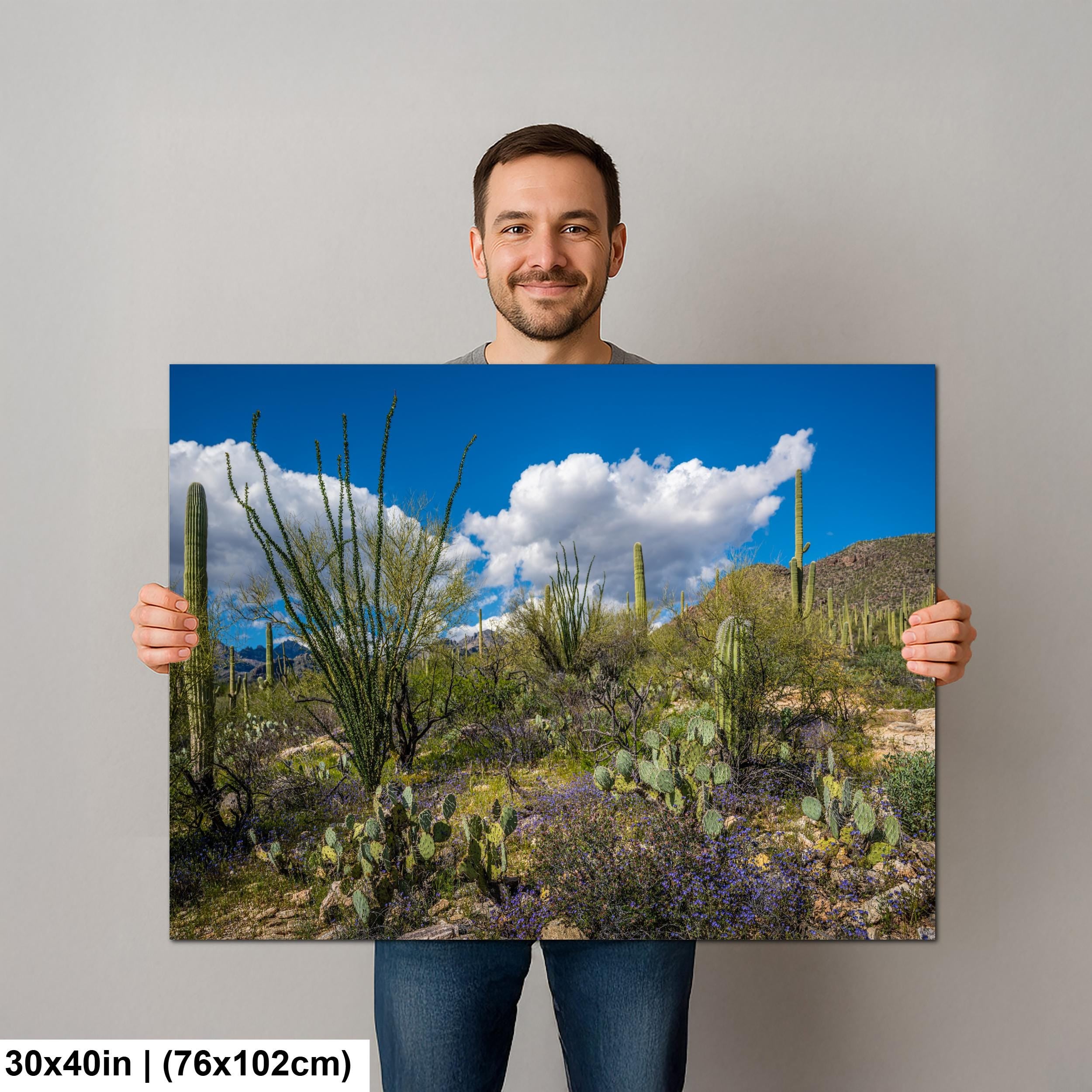 Sonoran Desert Spring Wildflowers with Saguaros - Sabino Canyon Tucson Arizona Photography Print