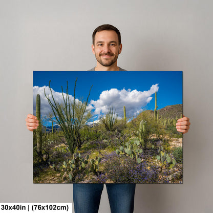 Sonoran Desert Spring Wildflowers with Saguaros - Sabino Canyon Tucson Arizona Photography Print