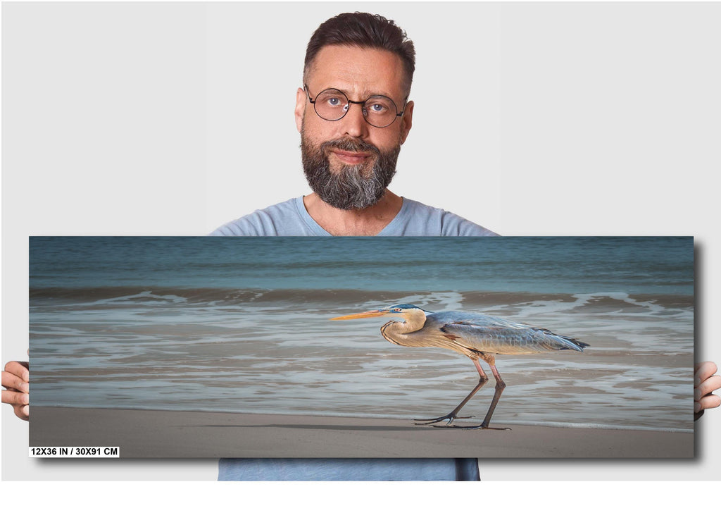 A wall art print featuring a great blue heron standing on a beach with the ocean in the background.