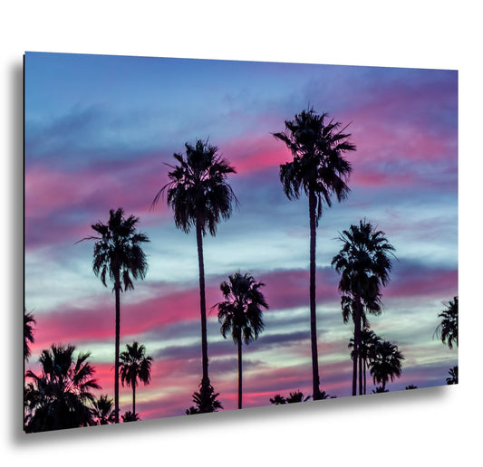 Palm Trees at Sunset, Apache Junction Arizona Photography Wall Art