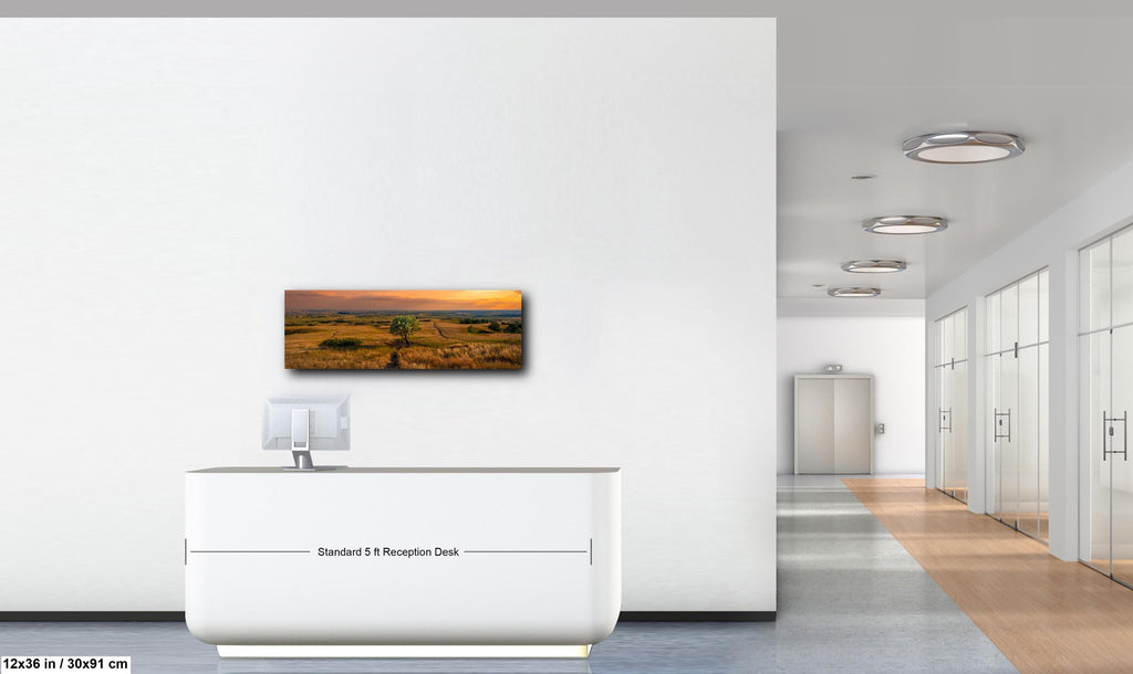Golden Prairie Tree Badlands National Park South Dakota Photography Print, Western Landscape Wall Art, Sunset Home Decor