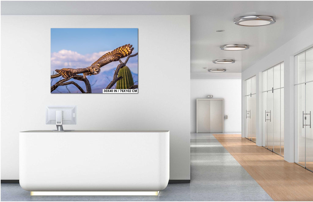 Great Horned Owl Arizona Desert Landscape Saguaro Cactus Wildlife Bird Photography Print Canvas Metal Acrylic Wall Art