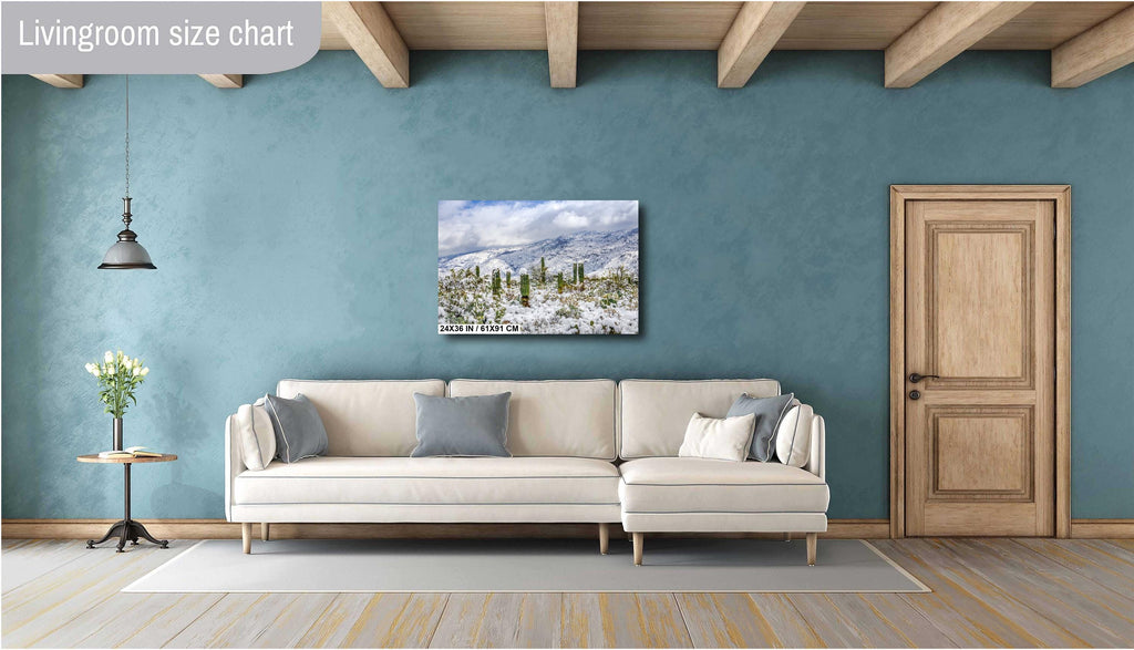 Saguaro National Park Winter Snow Cactus Print: Arizona Desert Wall Art