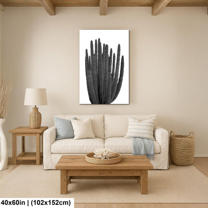 Organ Pipe Cactus Arizona National Monument Black and White Desert Nature Photography Wall Art