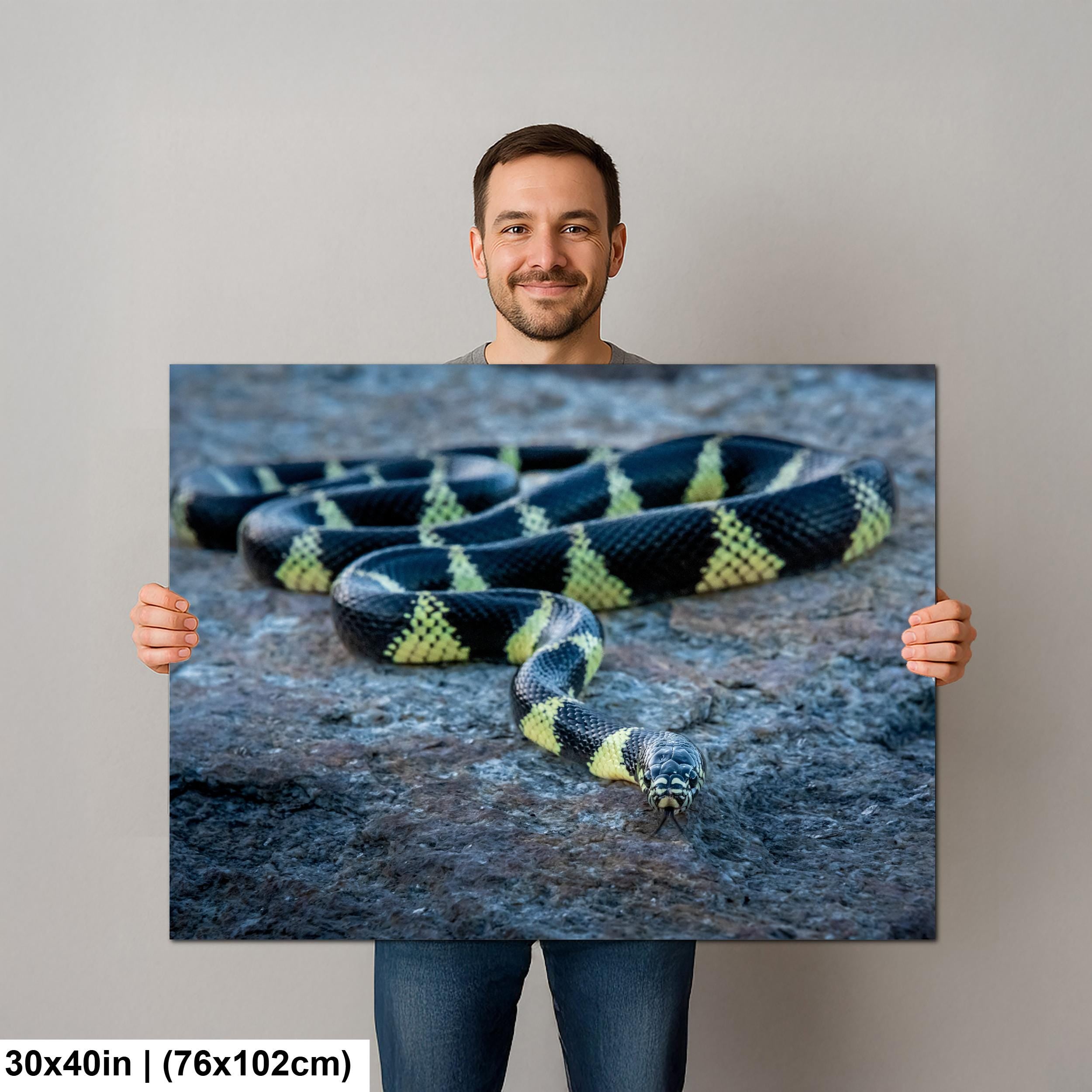 California Kingsnake Print – Desert Snake Art | Wildlife Snake Photo Wall Decor
