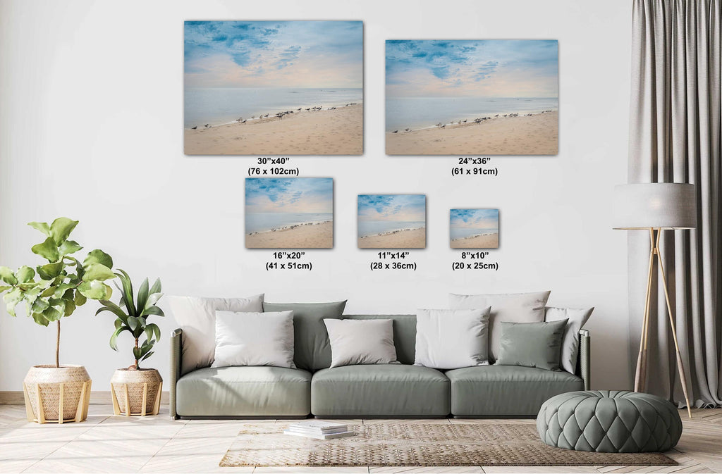 A wall art print featuring a beach scene with birds on Perdido Key, Florida, with a clear blue sky and calm ocean waters.