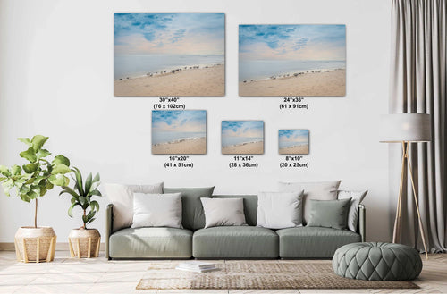 A wall art print featuring a beach scene with birds on Perdido Key, Florida, with a clear blue sky and calm ocean waters.