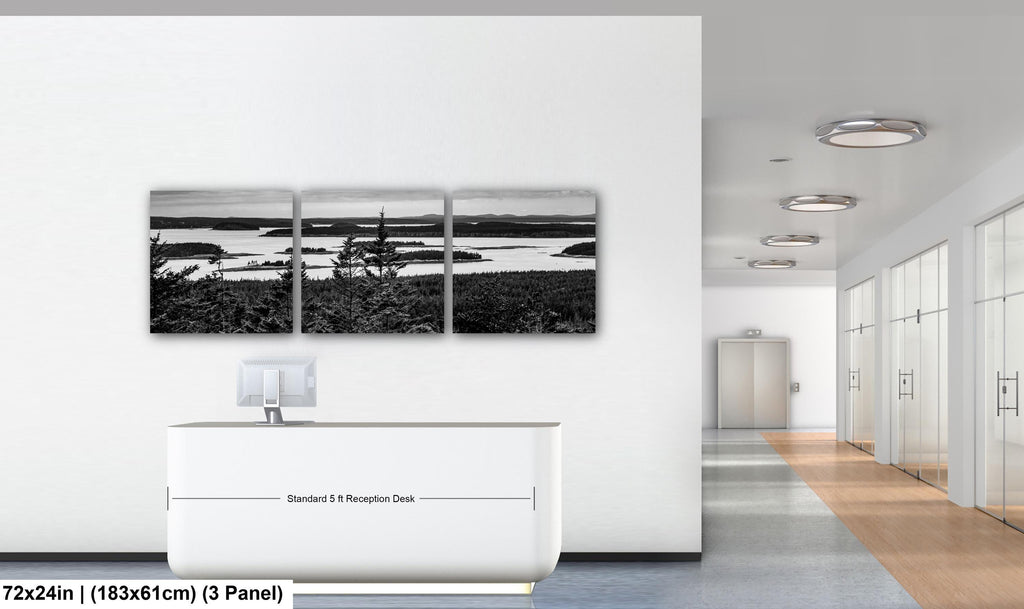 Beyond the Pines: Acadia National Park Maine Islands Black White Wall Art