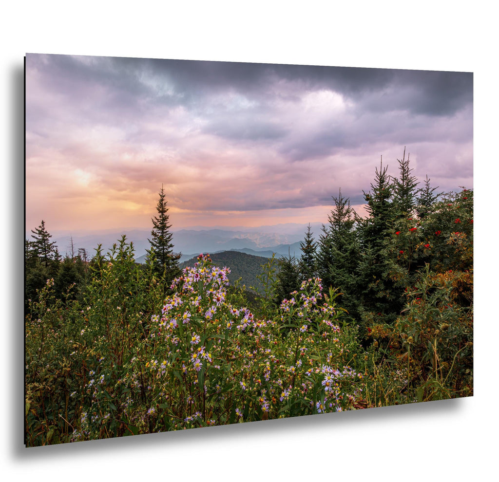 Mountain Wildflowers: Great Smoky Mountains Tennessee Photography Wall Art