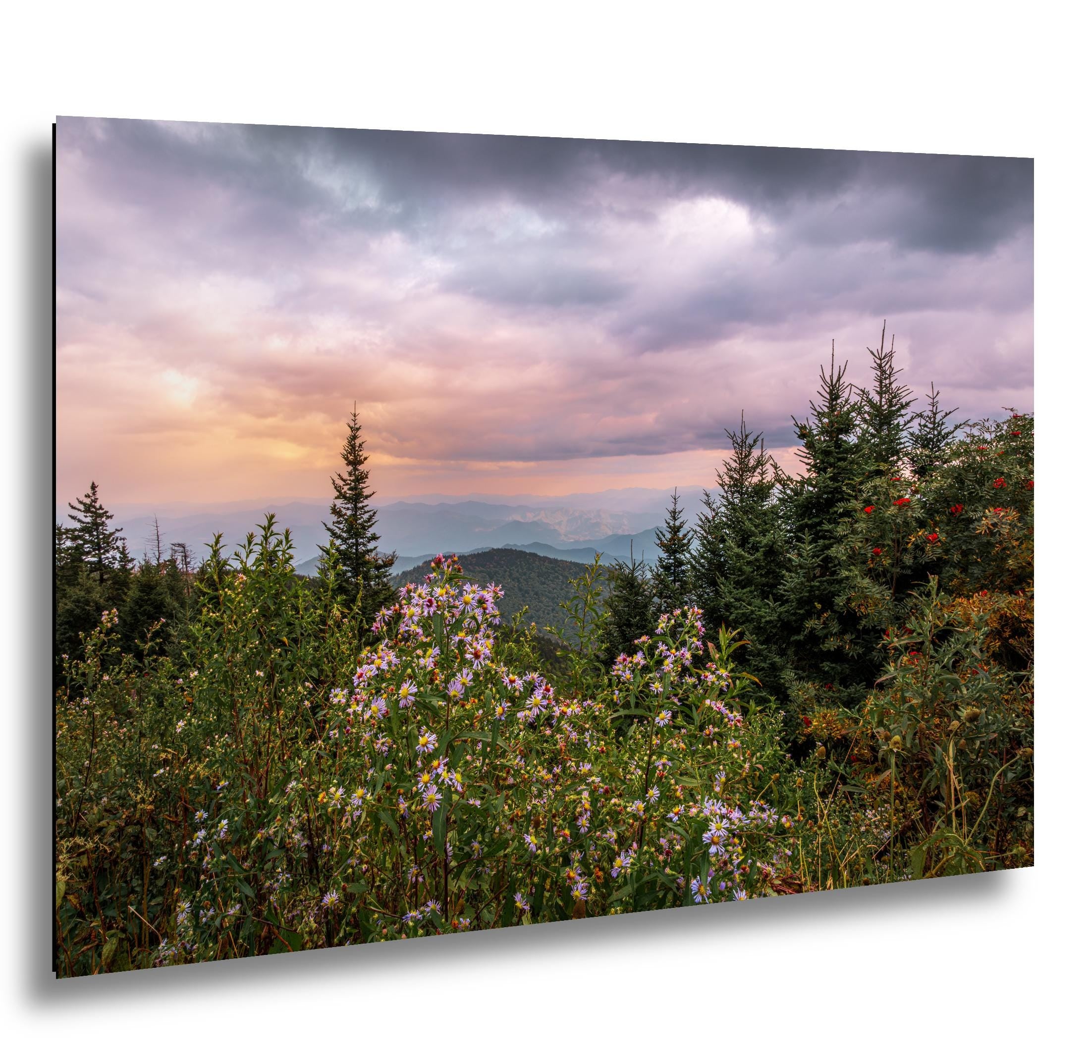 Mountain Wildflowers: Great Smoky Mountains Tennessee Photography Wall Art