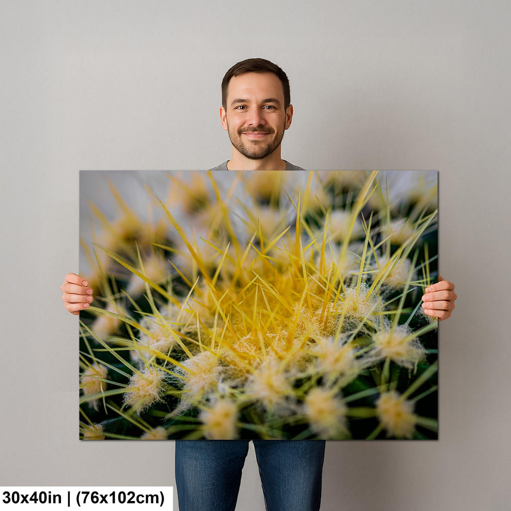 Golden Barrel Cactus: Yellow Spines Macro Botanical Photography Wall Art