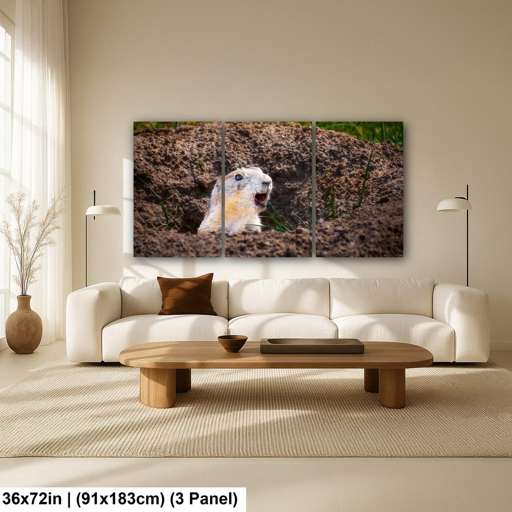 Burrow Scout: Prairie Dog Devils Tower Wyoming Wildlife Photo Wall Art