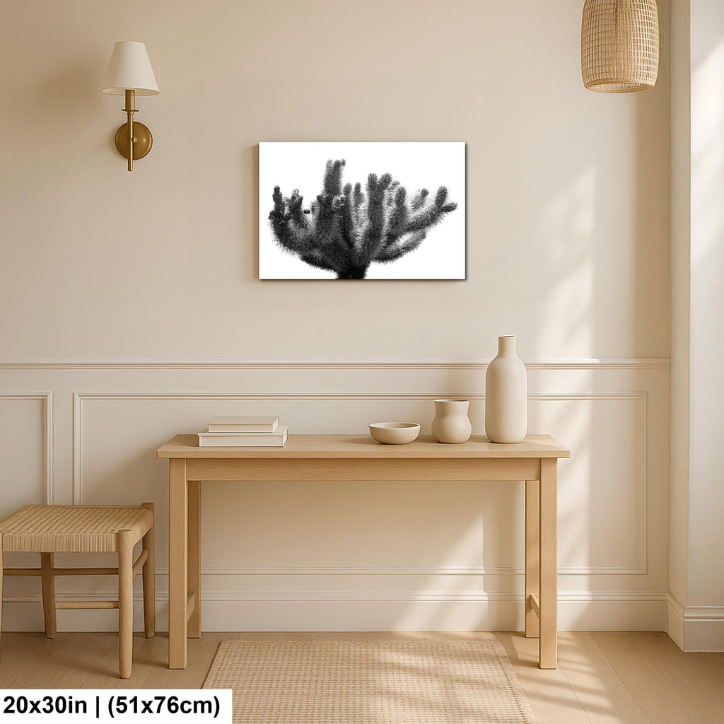 Joshua Tree Cholla Cactus Print: Black and White Desert Photography