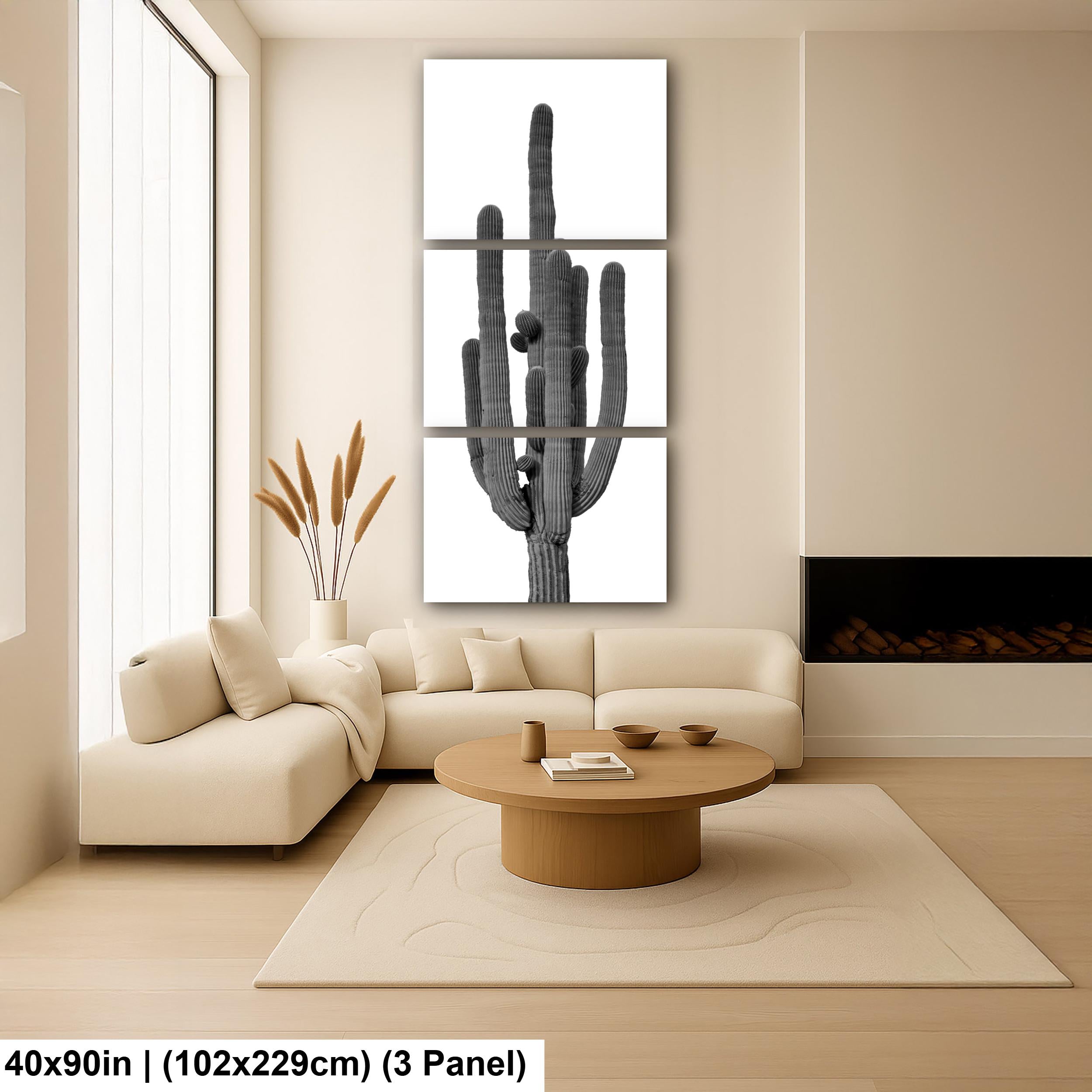 Joshua Tree Cholla Cactus Print: Black and White Desert Photography