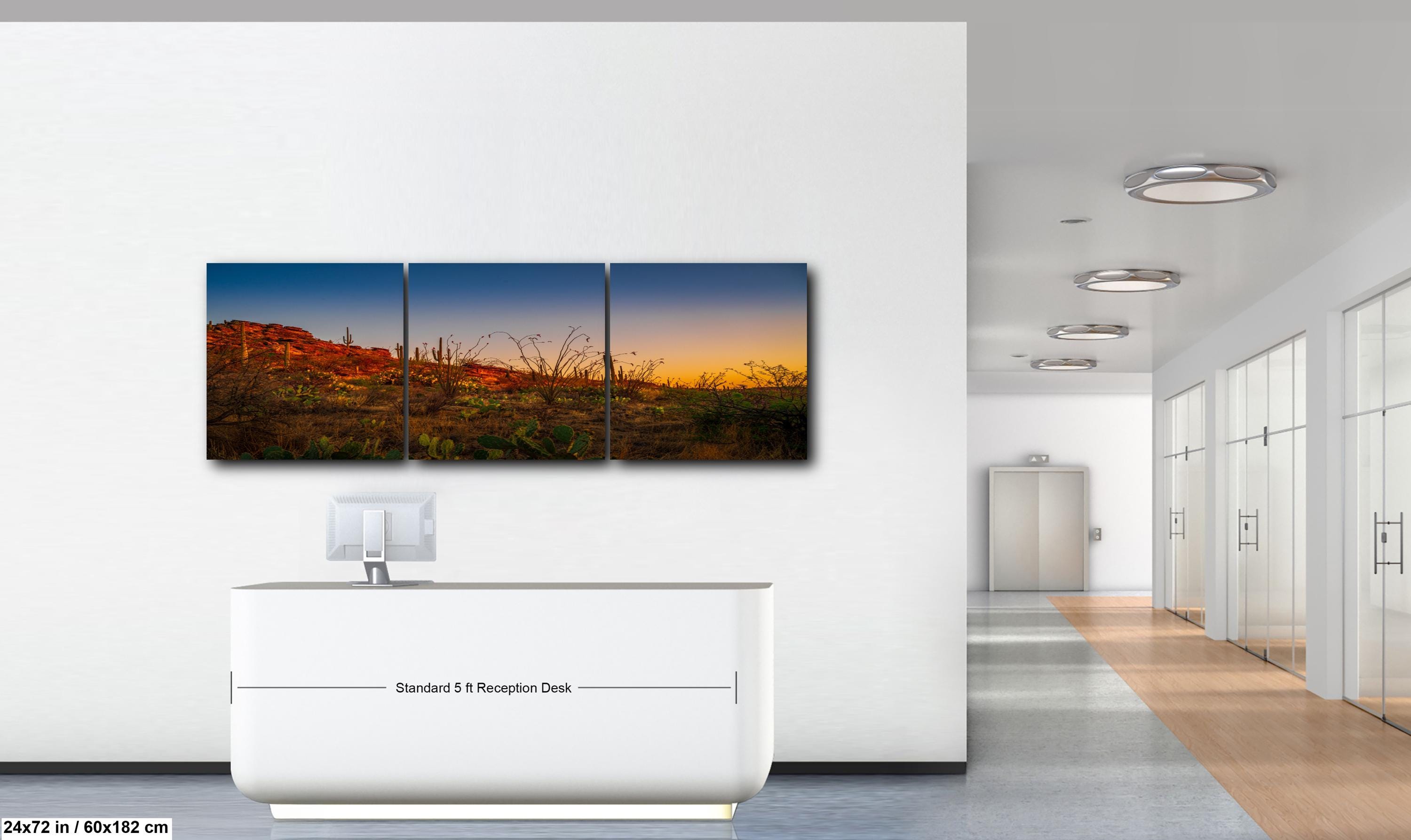 Sonoran Desert Sunset with Saguaros and Ocotillo - Saguaro National Park East Tucson Photography Print