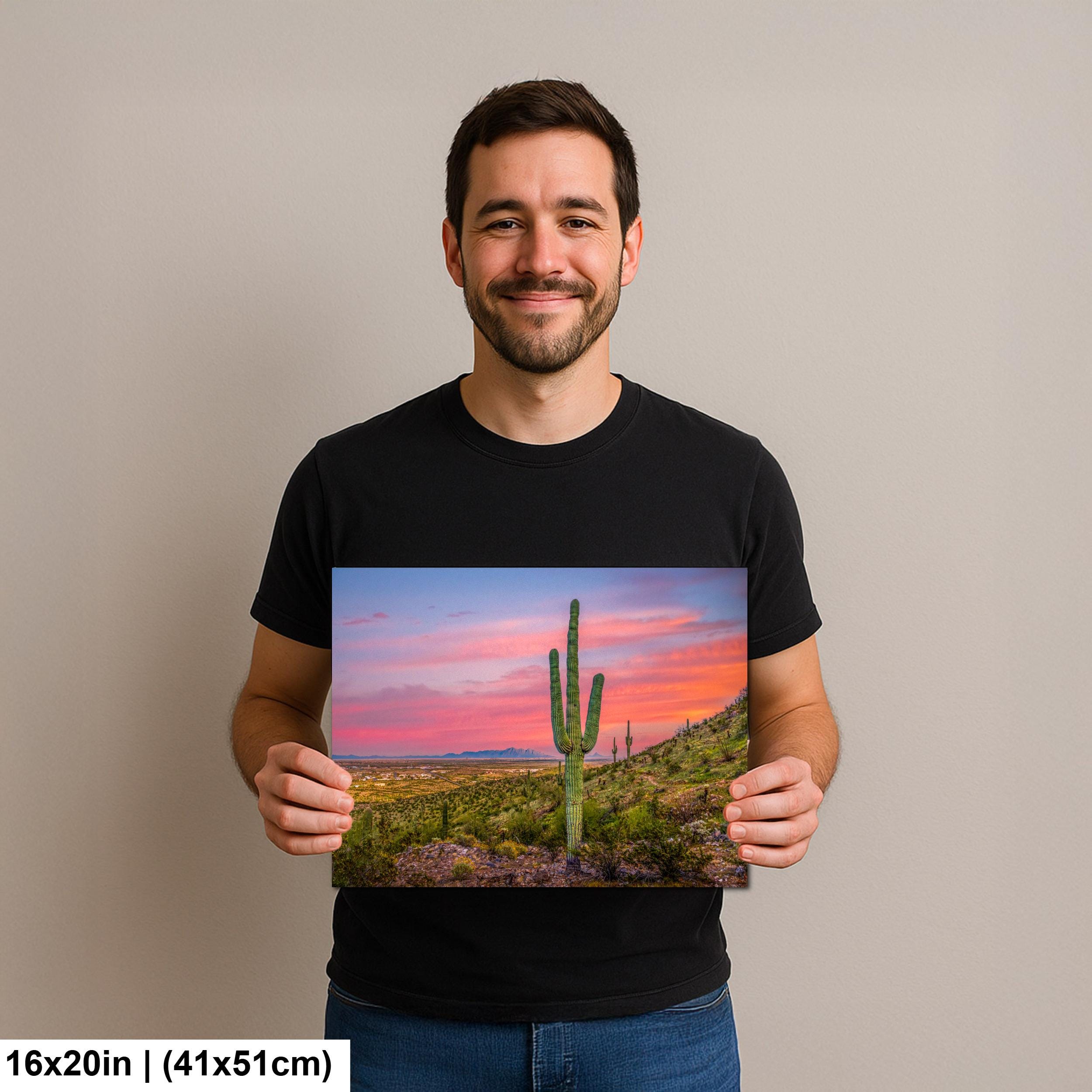 Sonoran Desert Sunset with Saguaros, Casa Grande Arizona, Photography Wall Art