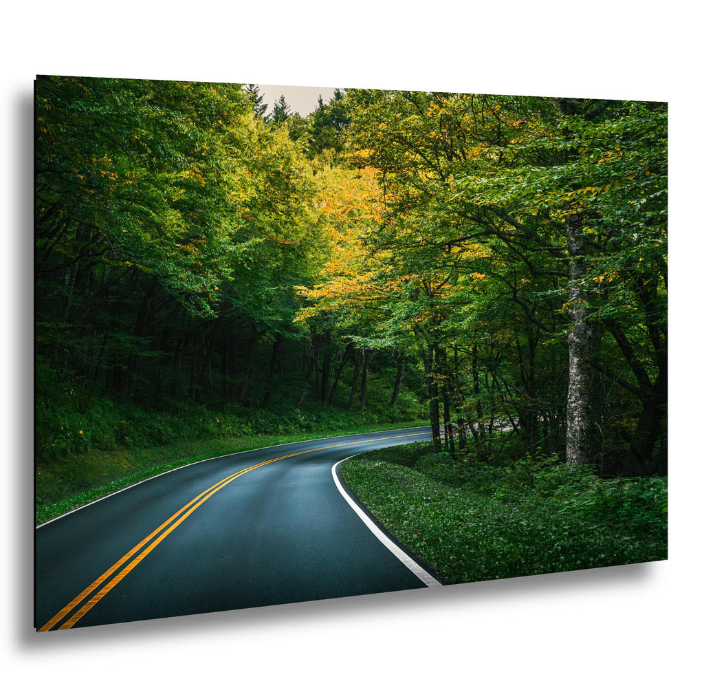 Forest Bend: Great Smoky Mountains National Park Road Photography Wall Art