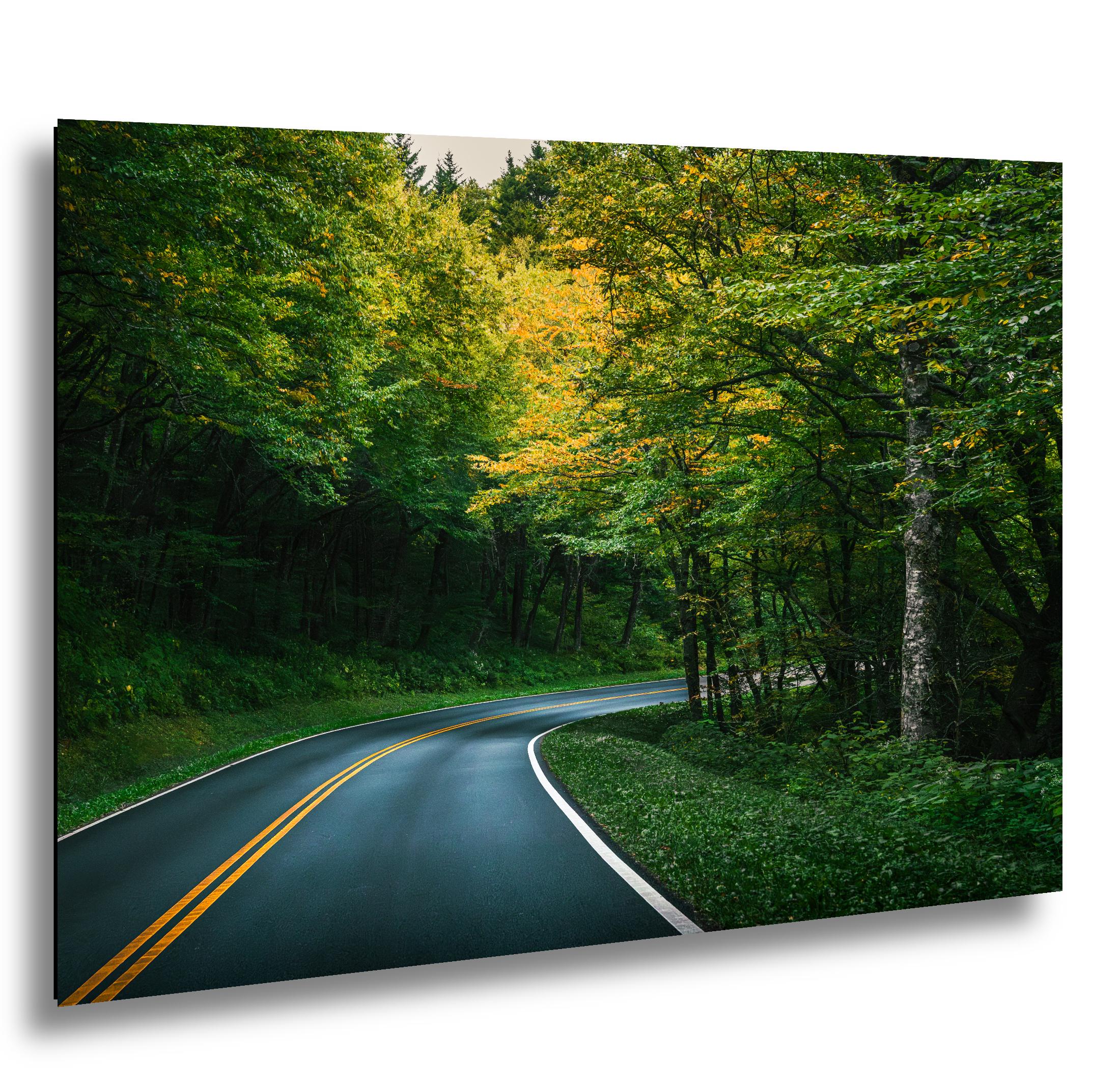 Forest Bend: Great Smoky Mountains National Park Road Photography Wall Art