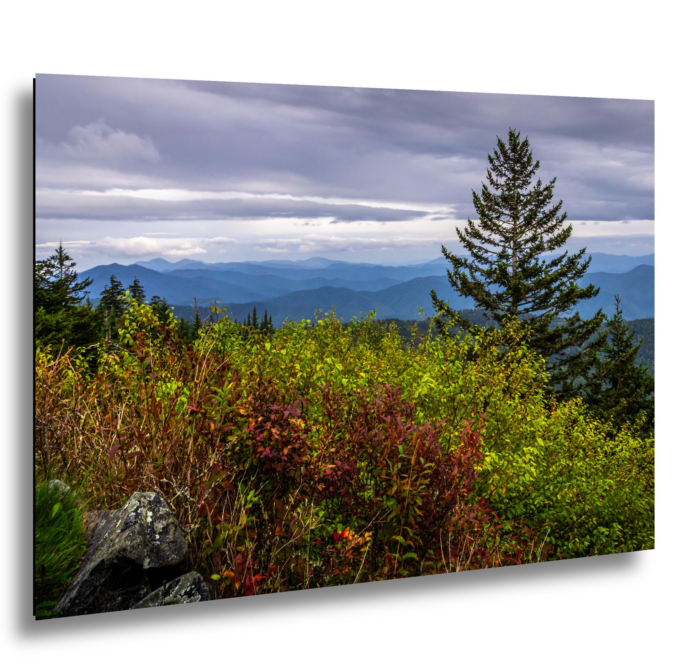 Autumn's Edge: Great Smoky Mountains Tennessee Nature Photography Wall Art