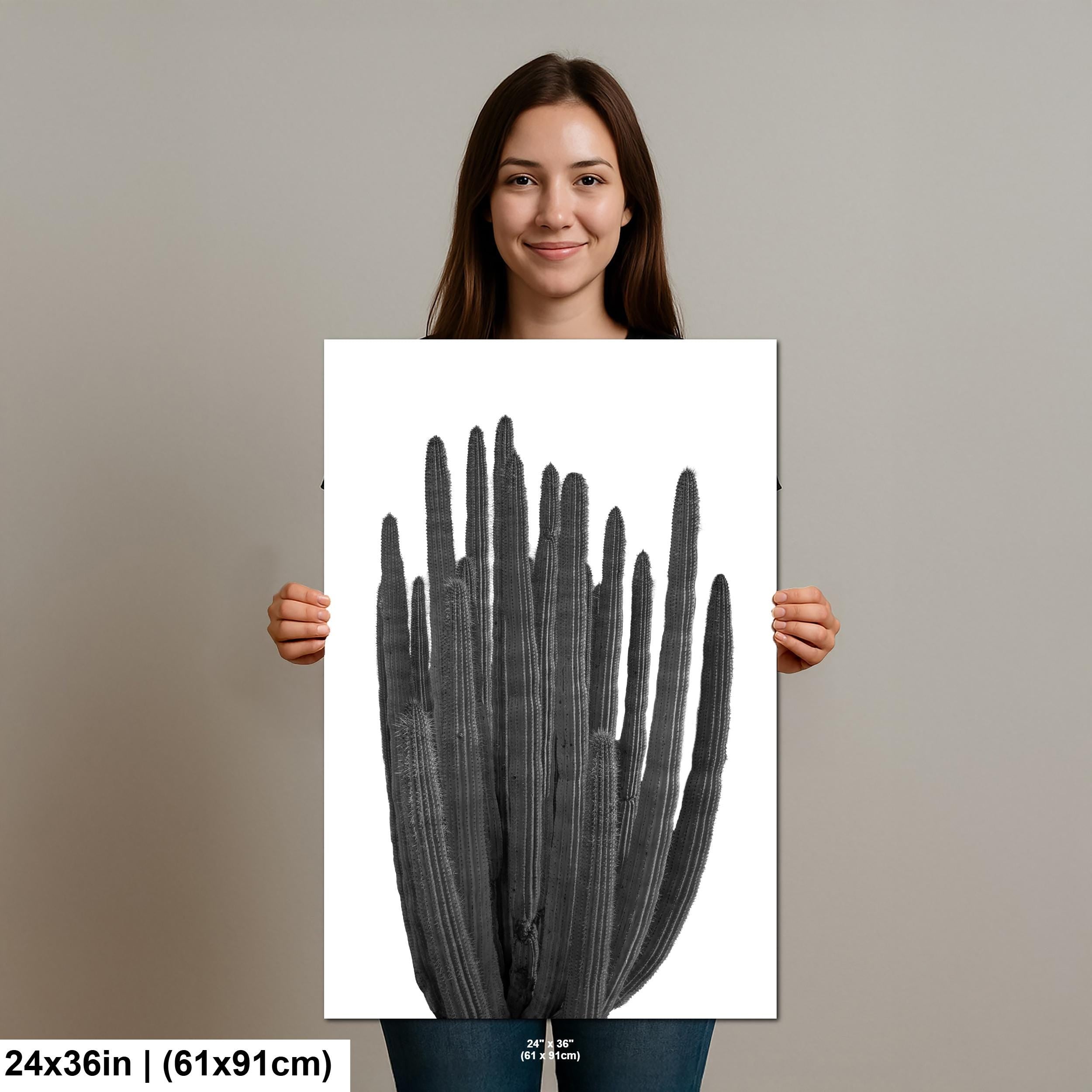 Organ Pipe Cactus Arizona National Monument Black and White Desert Nature Photography Wall Art