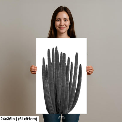 Organ Pipe Cactus Arizona National Monument Black and White Desert Nature Photography Wall Art