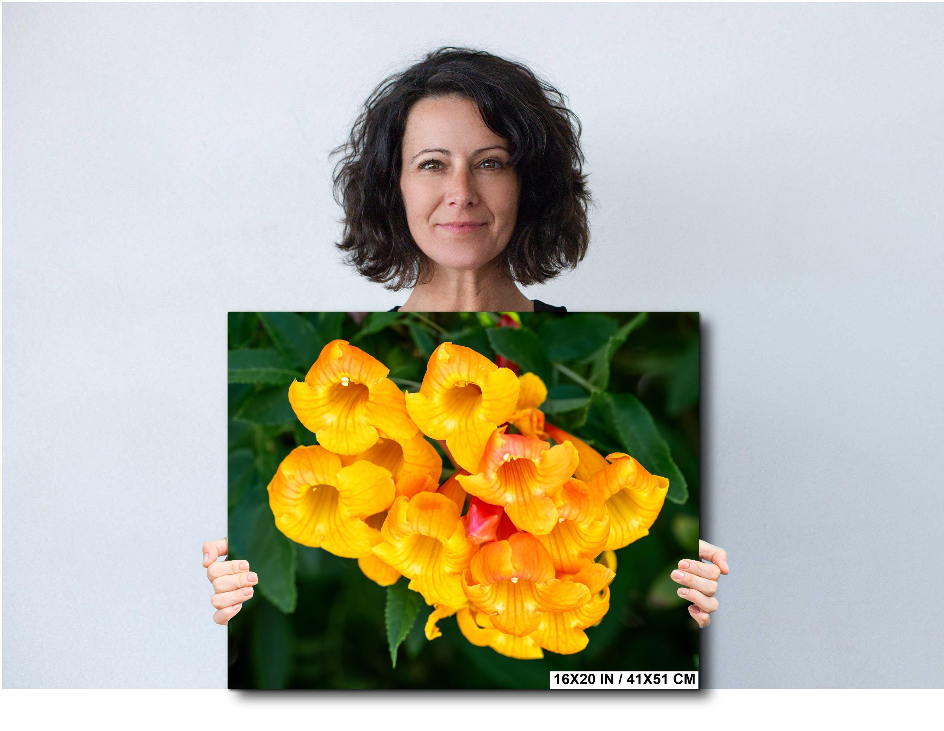 Yellow Bells Flower Print: Tucson Botanical Photography, Arizona Nature Art