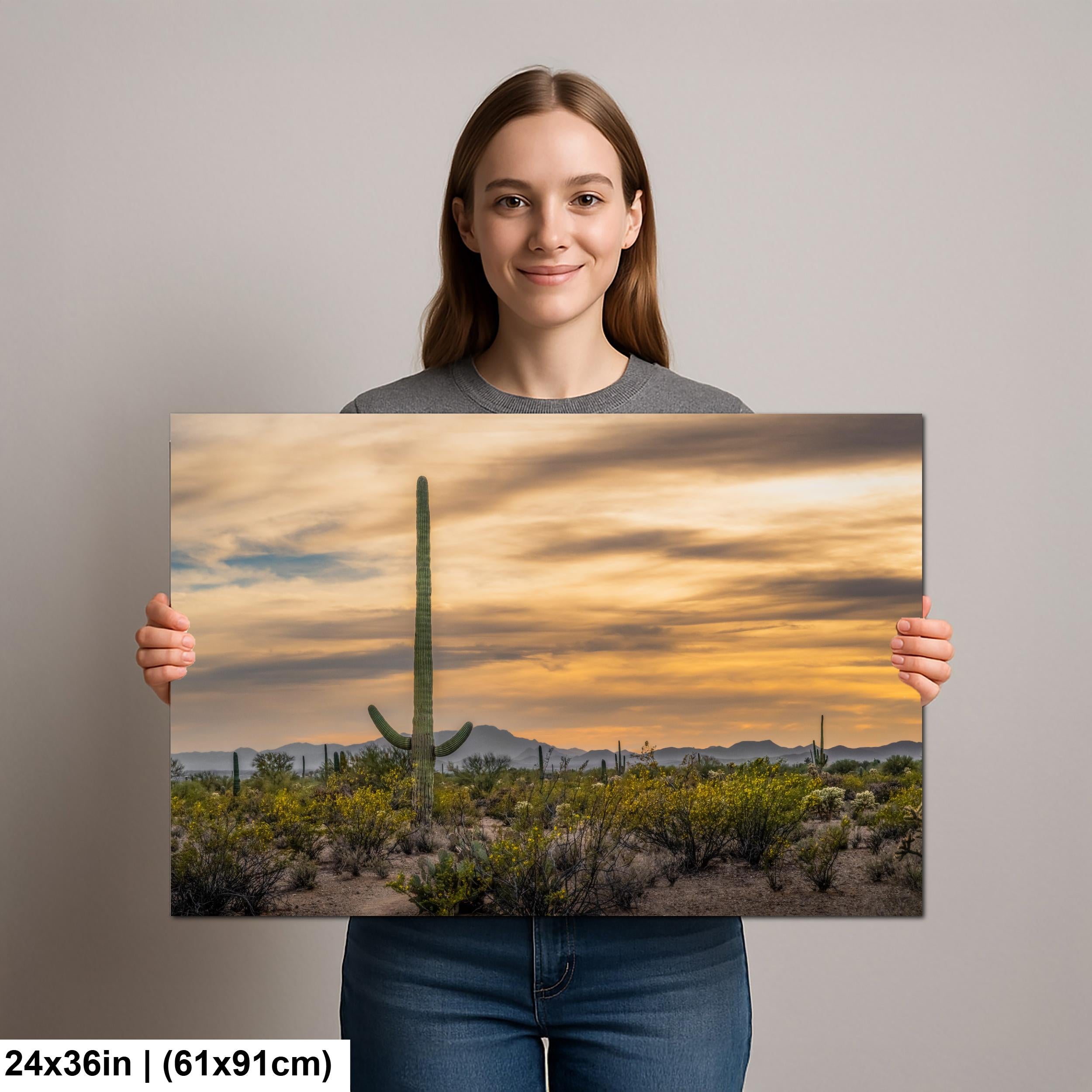 Sonoran Desert Sunset with Saguaro Cactus and Wildflowers Tucson Arizona Photography Print