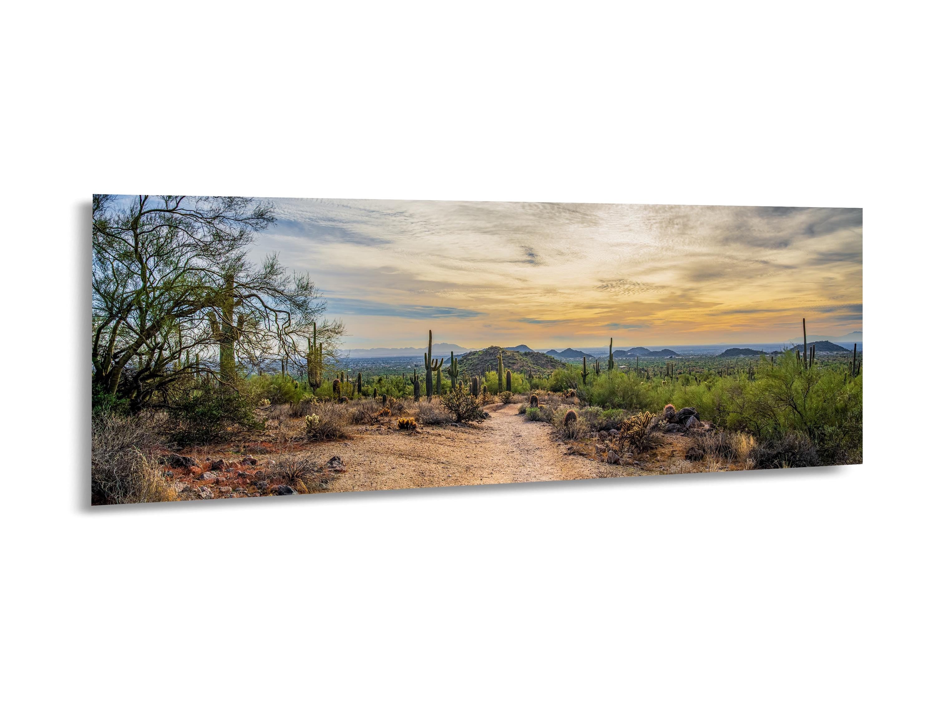 Sonoran Desert Trail at Sunset Photography Print, Usery Mountain Regional Park Mesa Arizona Wall Art Home Decor