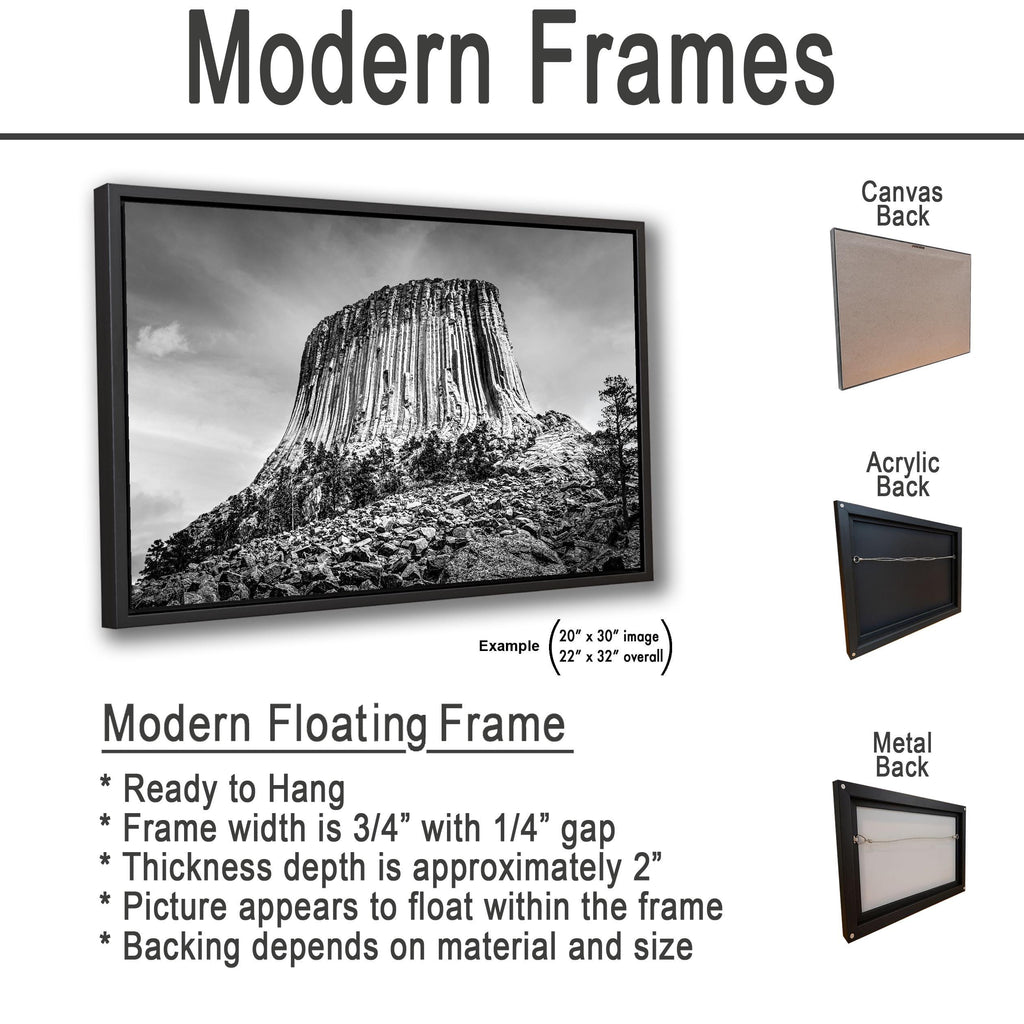 Basalt Monolith: Devils Tower Wyoming Black and White Photography Wall Art