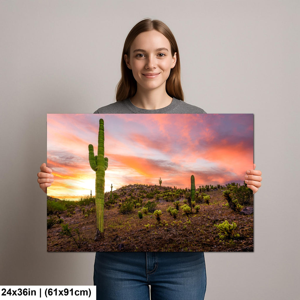 Towering Saguaro at Sunset - Sonoran Desert Casa Grande Arizona Photography Print