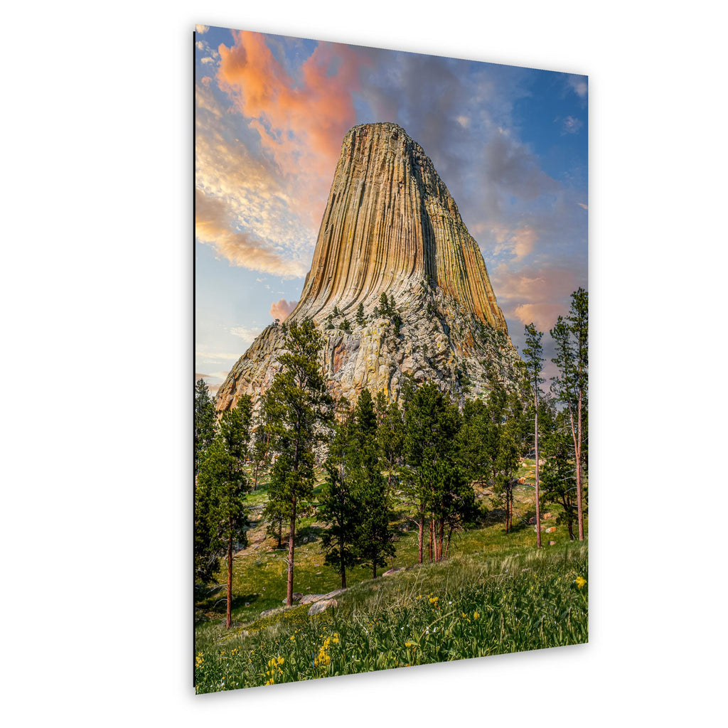 Towering Presence: Devils Tower Wyoming Summer Landscape Photo Wall Art