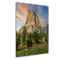 Towering Presence: Devils Tower Wyoming Summer Landscape Photo Wall Art