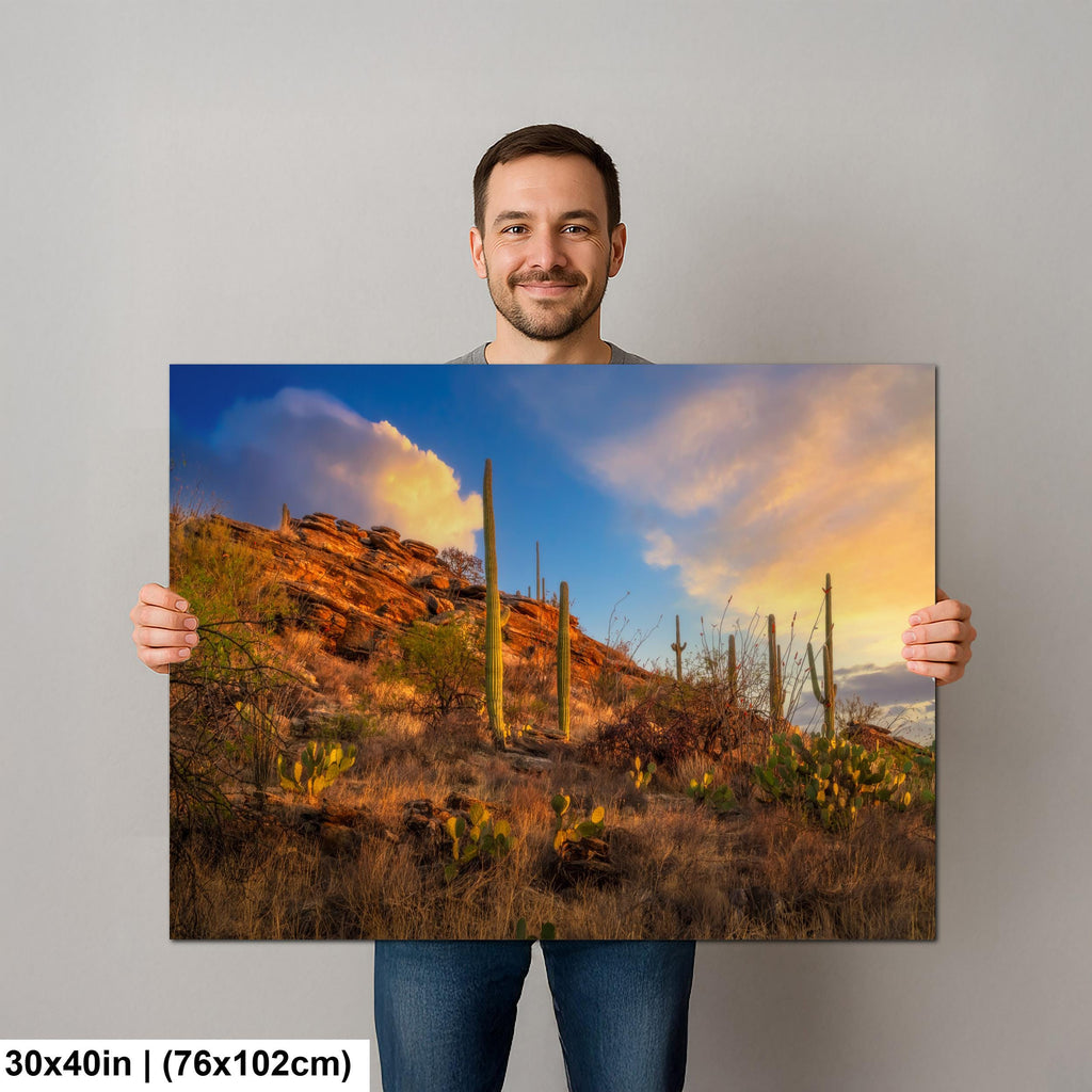 Sonoran Desert Sunset on Rocky Hillside - Saguaro National Park East Tucson Photography Print