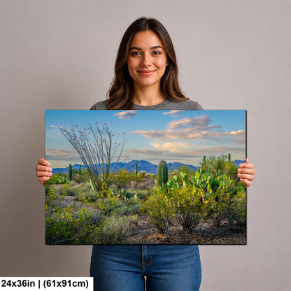 Sonoran Desert Wildflowers with Saguaros Photography Print, Tucson Arizona Landscape, Southwest Wall Art Decor