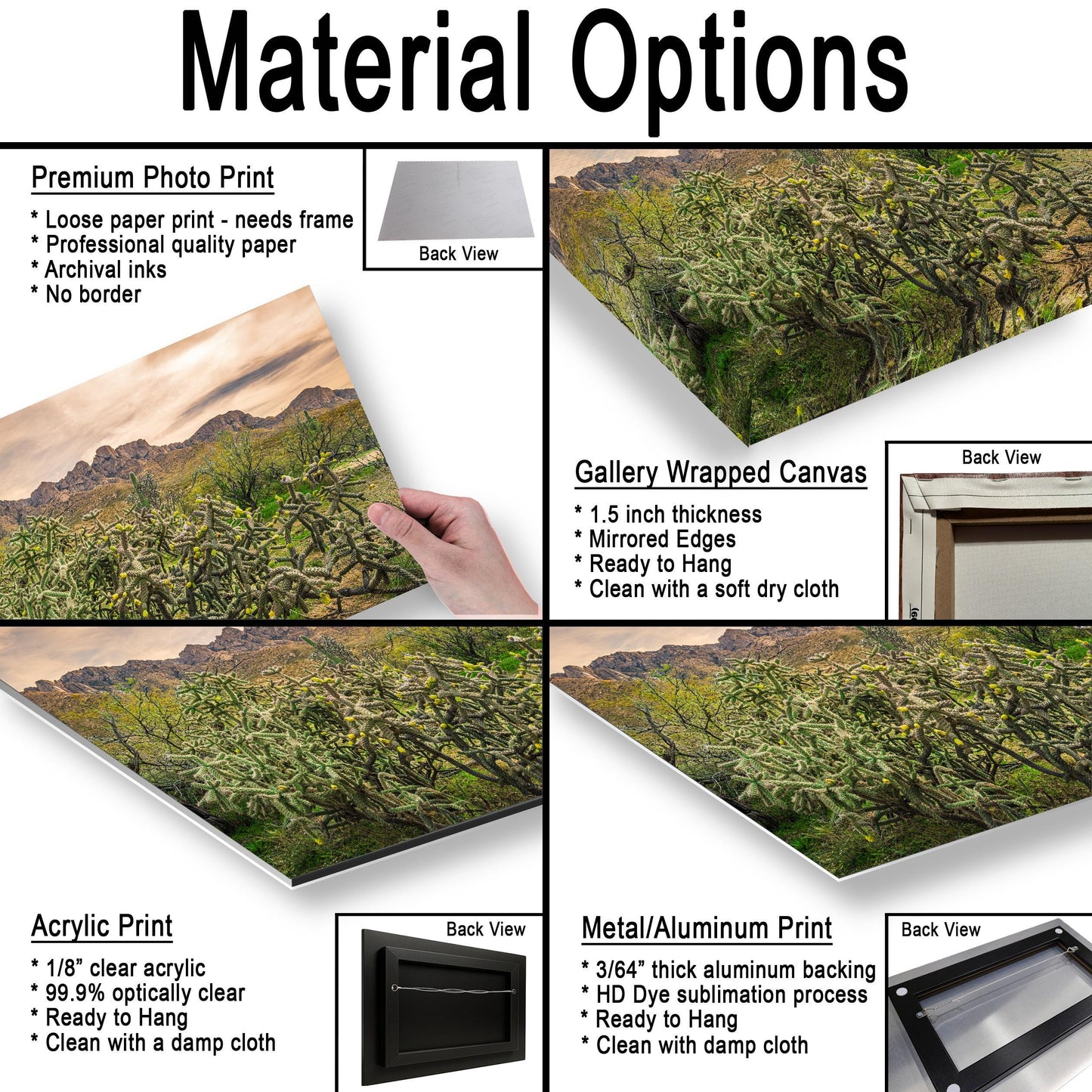 Catalina State Park Blooming Cholla - Tucson Arizona Desert Mountains Photography Print