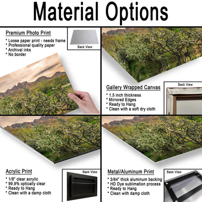 Catalina State Park Blooming Cholla - Tucson Arizona Desert Mountains Photography Print