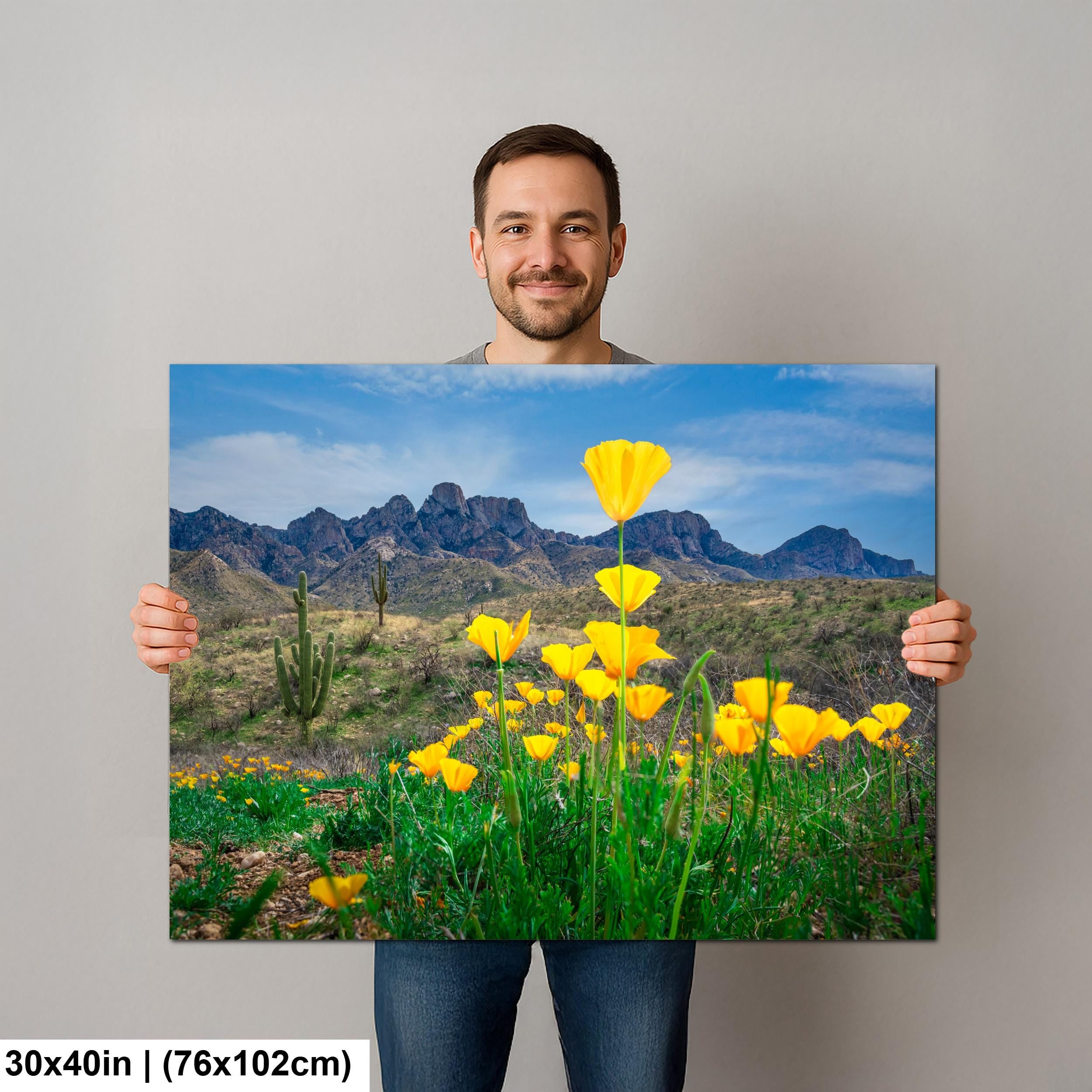 Arizona Poppies in Bloom with Saguaros and Mountains - Catalina State Park Tucson Photography Print