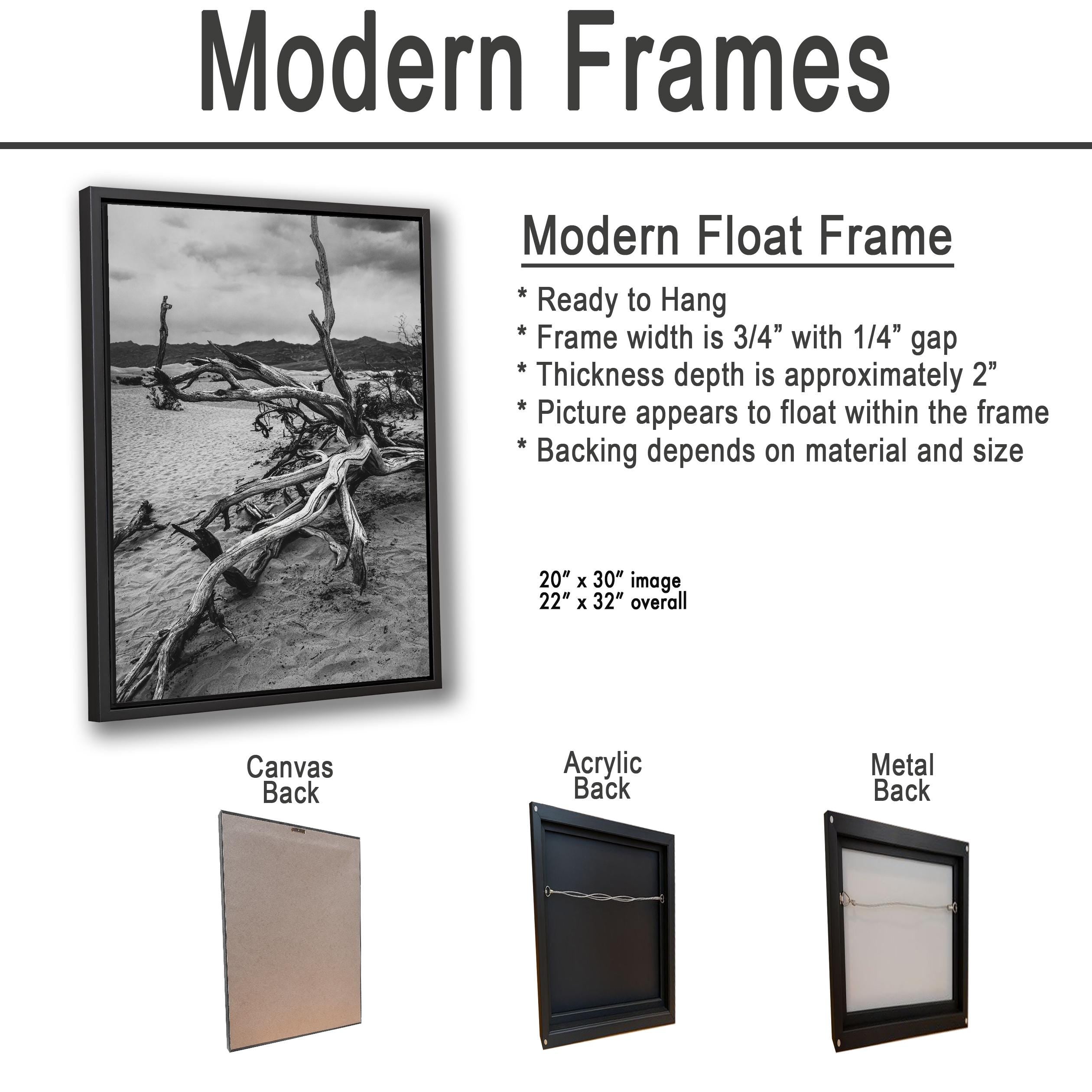 Mesquite Flat Sand Dunes Driftwood Study, Death Valley National Park California